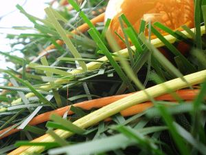 v�no�n� strome�ek na v�noce